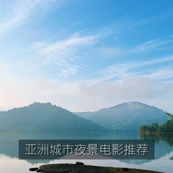 亚洲城市夜景电影推荐